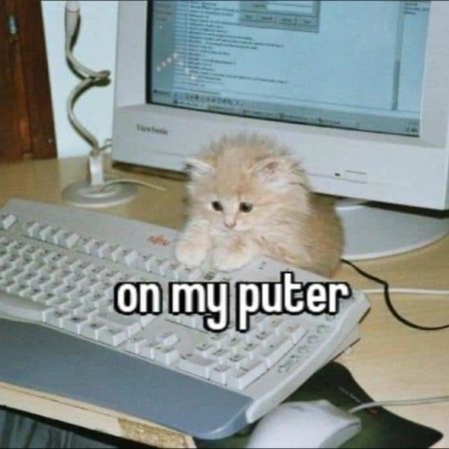 um gatinho com cara de coitado em cima do teclado de um computador de tela de tubo, com uma legenda que lê 'on my puter'